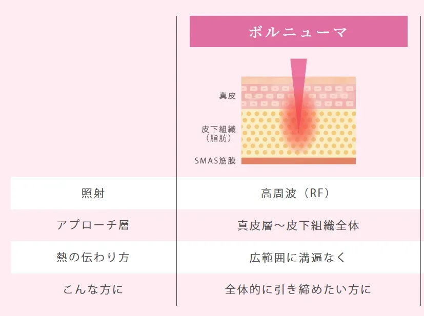 ボルニューマの特徴