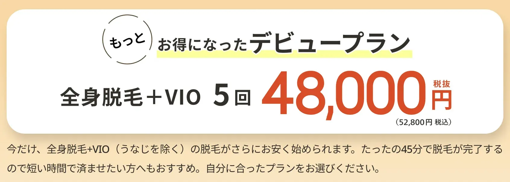デビュープランの紹介